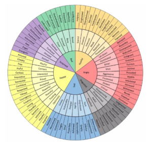 Emotions Wheel