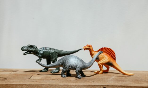 Optimizing CRM Data for Middle-of-the-Funnel and Trial Success