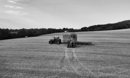 Making Hay – How Much Will Your Sales Team Make This Year?