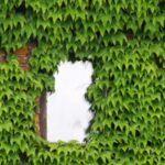 How L&D Took Over Sales Enablement And Why Revenue Paid the Price